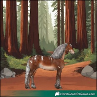Horse Color:Powder White White Spotted Silver Brown Rabicano 
