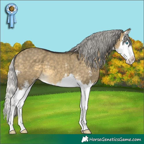 Horse Color:Silver Buckskin Dun Mushroom Sabino Splash 