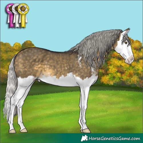 Horse Color:Silver Buckskin Dun Mushroom Sabino Splash 