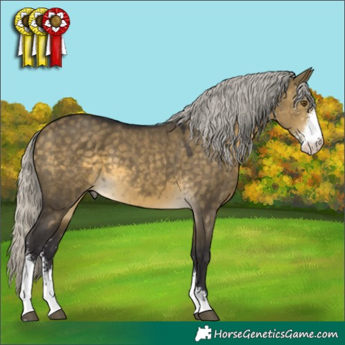 Horse Color:Silver Buckskin Dun Mushroom Sabino 