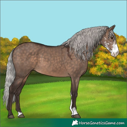 Horse Color:Silver Brown Dun Mushroom Sabino 