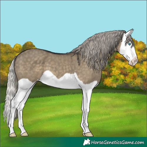 Horse Color:Silver Smoky Grullo Mushroom Splash 