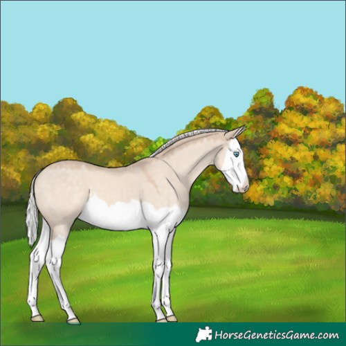 Horse Color:Silver Perlino Dun Mushroom Splash