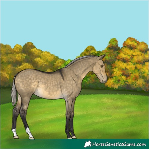 Horse Color:Silver Buckskin Dun Mushroom 