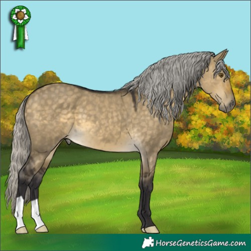 Horse Color:Silver Buckskin Dun Mushroom 
