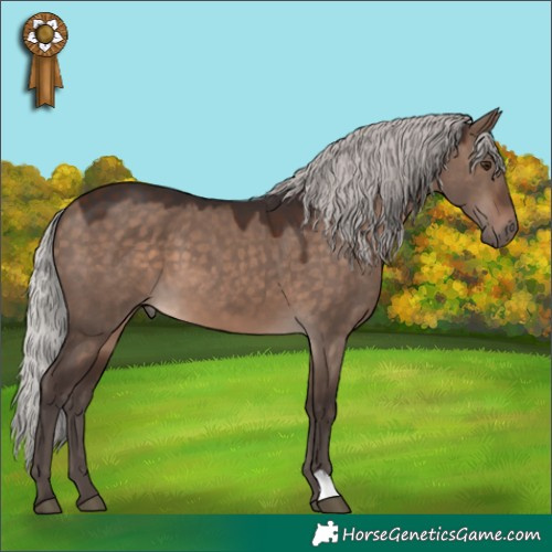 Horse Color:Silver Brown Dun Mushroom 