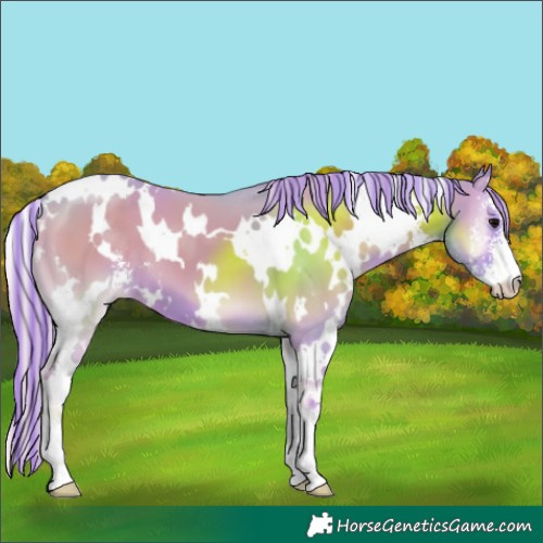 Horse Color:Painted Watercolor White Spotted Silver Blue Onyx Sabino