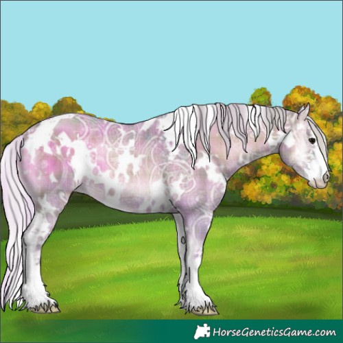 Horse Color:Watercolor Plaid  White Spotted Silver Blue Onyx Ice Sabino 