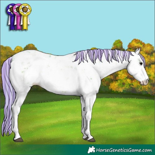 Horse Color:Painted Watercolor Silver Brown Onyx Sabino 