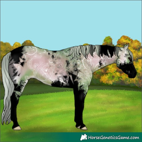 Horse Color:Void Watercolor Silver Blue Onyx Ice Sabino Tobiano 