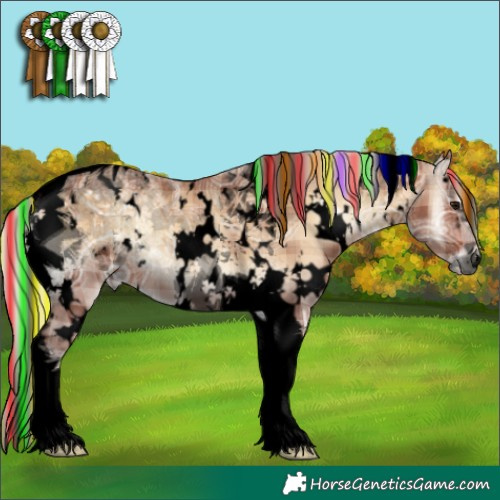 Horse Color:Void Painted Plaid  White Spotted Silver Brown Ice Onyx Tobiano 