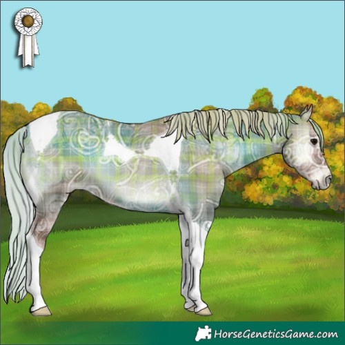 Horse Color:Plaid  Silver Blue Onyx Ice Tobiano 