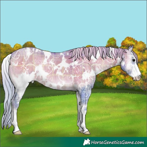 Horse Color:Watercolor Plaid  White Spotted Silver Blue Onyx Ice Sabino 