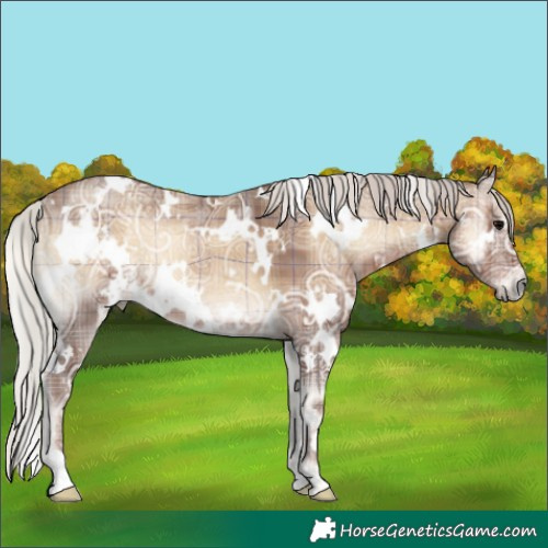 Horse Color:Plaid  White Spotted Silver Blue Onyx Ice 
