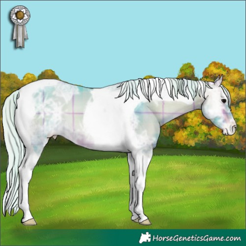 Horse Color:Watercolor Plaid  Silver Bay Ice Onyx Tobiano Appaloosa 