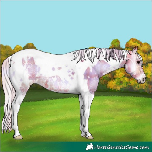 Horse Color:Watercolor Plaid  White Spotted Silver Brown Ice Onyx Tobiano 