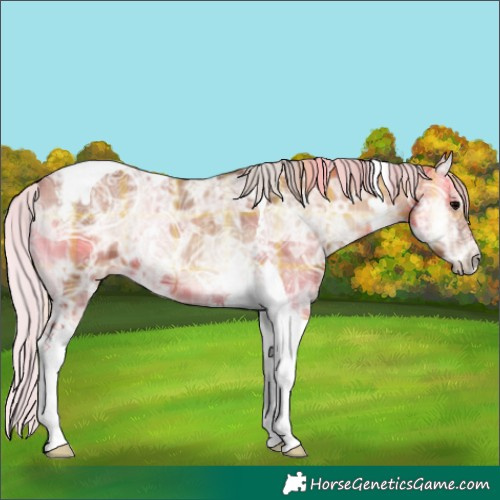 Horse Color:Plaid  Silver Blue Onyx Ice Tobiano 