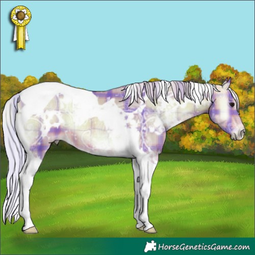 Horse Color:Watercolor Plaid  White Spotted Silver Bay Ice Onyx Tobiano 