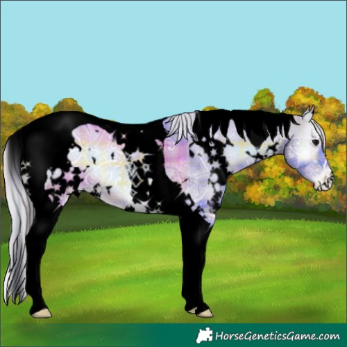Horse Color:Void Watercolor Plaid  White Spotted Silver Brown Ice Onyx Tobiano Appaloosa 
