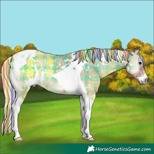 Horse Color:Painted Plaid  White Spotted Silver Blue Onyx Ice Tobiano 