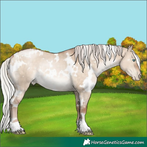 Horse Color:White Spotted Silver Brown Pearl Dun Rabicano 