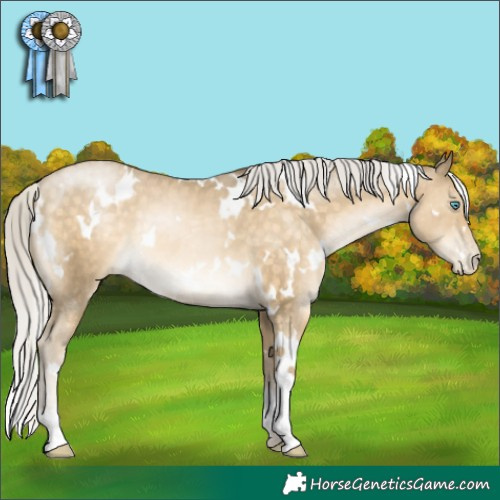 Horse Color:White Spotted Silver Buckskin Pearl Rabicano 