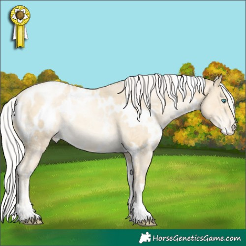 Horse Color:White Spotted Silver Sable Cream Champagne Pearl Appaloosa Rabicano 