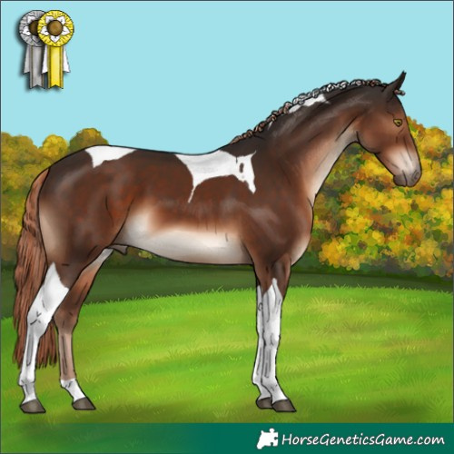 Horse Color:Liver Chestnut Tobiano 