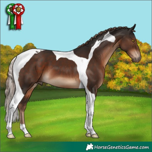 Horse Color:Liver Chestnut Tobiano 