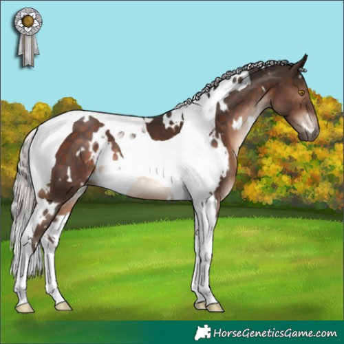 Horse Color:White Spotted Silver Brown Tobiano 