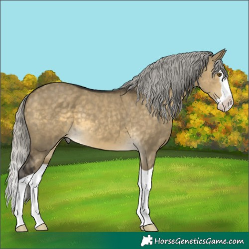 Horse Color:Silver Buckskin Dun Mushroom Splash 