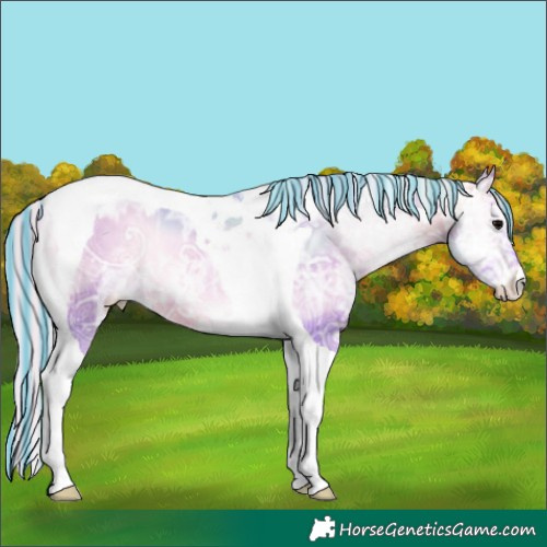 Horse Color:Painted Watercolor Silver Brown Ice Onyx Tobiano Appaloosa 