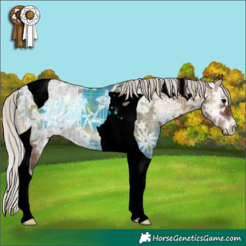 Horse Color:Void Plaid  Silver Blue Onyx Ice Tobiano 