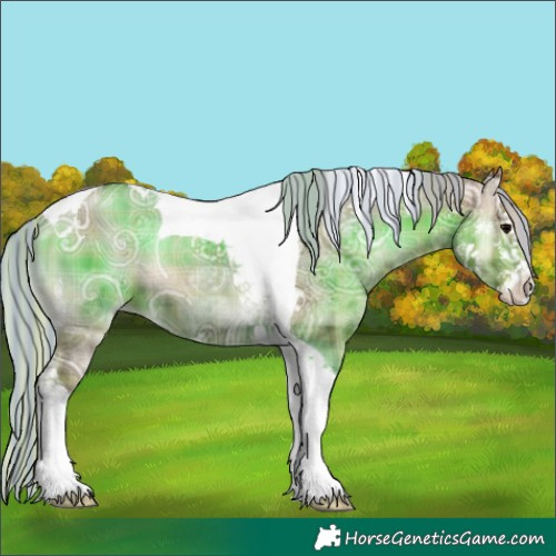 Horse Color:Painted Plaid  Silver Blue Onyx Ice Sabino Tobiano 