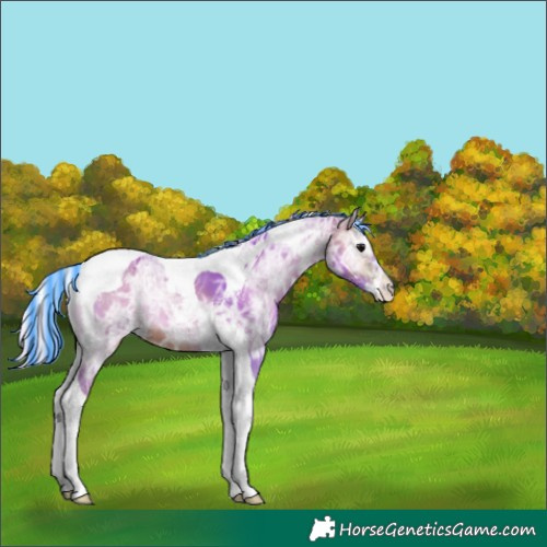 Horse Color:Painted Watercolor Silver Brown Ice Onyx Tobiano Appaloosa 