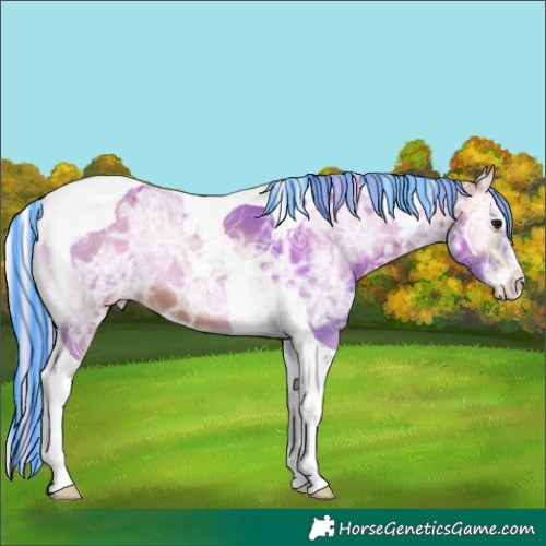 Horse Color:Painted Watercolor Silver Brown Ice Onyx Tobiano Appaloosa 