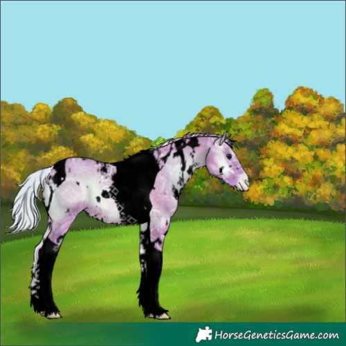 Horse Color:Void Watercolor White Spotted Silver Bay Ice Onyx Tobiano Appaloosa