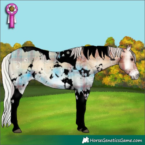 Horse Color:Void Plaid  White Spotted Silver Bay Ice Onyx Tobiano 