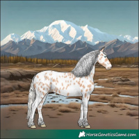 Horse Color:Silver Amber Champagne Tobiano Near Leopard Rabicano 