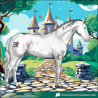 Horse Color:Black Merle Splash Skewed Appaloosa  and Brown Merle Splash Skewed Appaloosa 