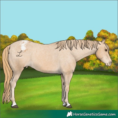 Horse Color:Chestnut Varnish 