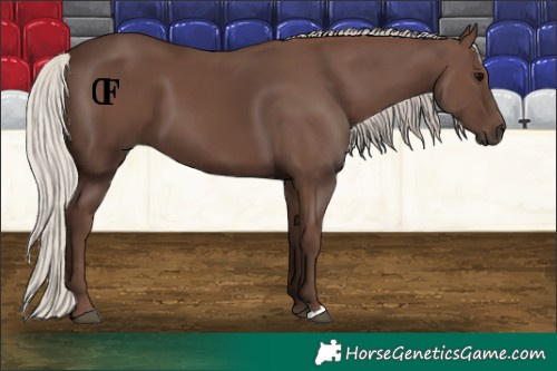 Horse Color:Silver Black 