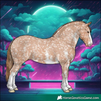 Horse Color:Chestnut Sabino Appaloosa