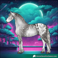 Horse Color:Gray White Spotted Silver Black Blanket