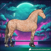 Horse Color:Bay Snowflake Varnish 