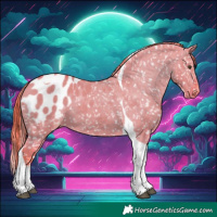 Horse Color:Watercolor Liver Red Dun Tobiano Blanket