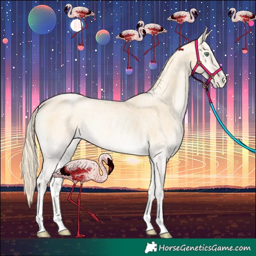 Horse Color:Palomino Roan Pearl Onyx 