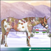 Horse Color:Nacre Chestnut Tobiano 
