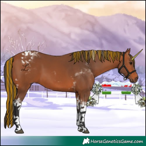 Horse Color:Painted Bay Tobiano 