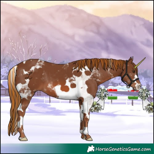 Horse Color:Painted Chestnut Tobiano 
